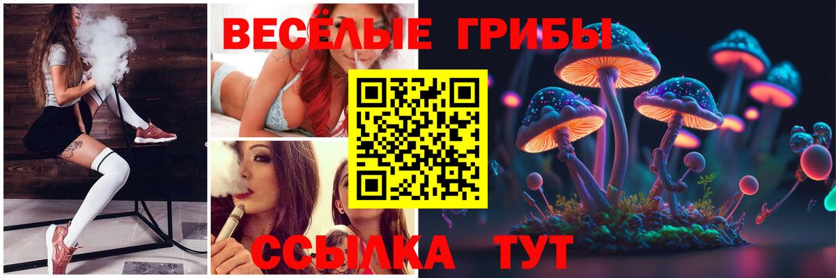 Псилоцибиновые грибы GOLDEN TEACHER Королёв